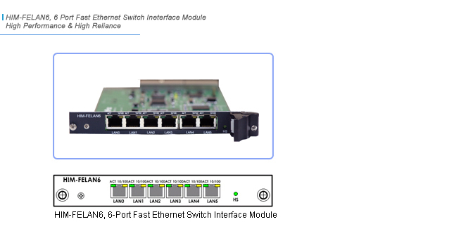 HIM-FELAN6 Network Module | AddPac
