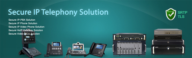 Secure IP Telephony Solution  | AddPac